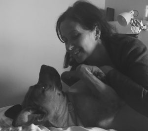 Perros sanos alimentación natural