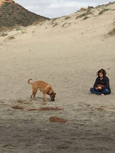 Alimentación natural